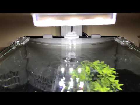 2.5 Gal. retreat top fin tank!