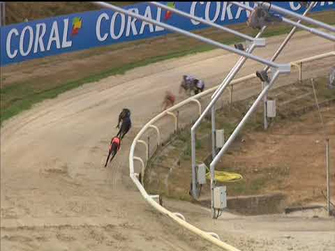 Brinkleys Poet – Coral Sussex Cup Heat 6