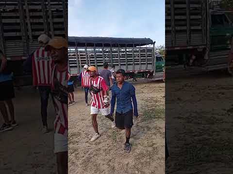 san Sebastián de Buenavista ( Magdalena )