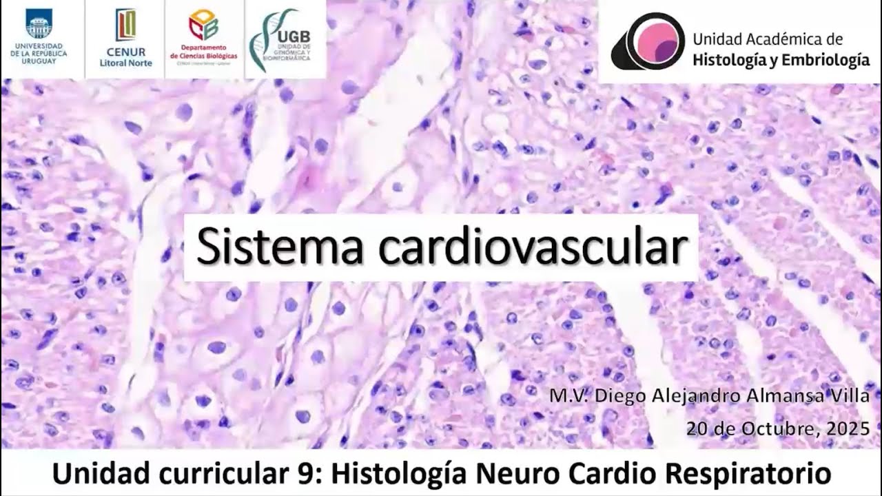 HNCR2025 T12 Sistema cardiovascular (2025_10_20)