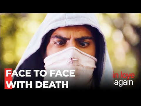 The Deadly Fly Is On Fatih's Nose - In Love Again Episode 182