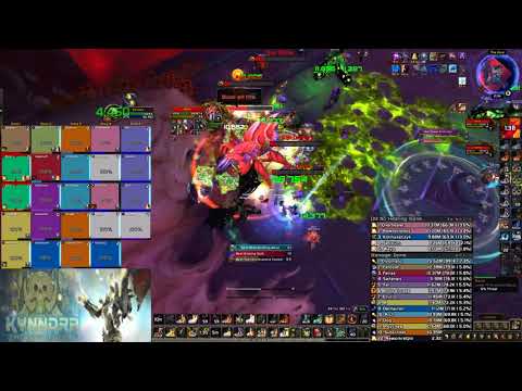 Rise Above vs The Hivemind Heroic - Holy Paladin PoV