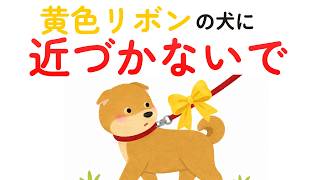 【犬好きほど知ってほしい】黄色いリボンは優しさのサイン