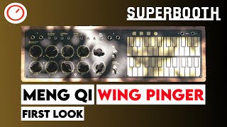 Video thumbnail for Superbooth 20HE: Meng Qi Wing Pinger Synthesizer First Look & Sound Demo by SYNTH ANATOMY
