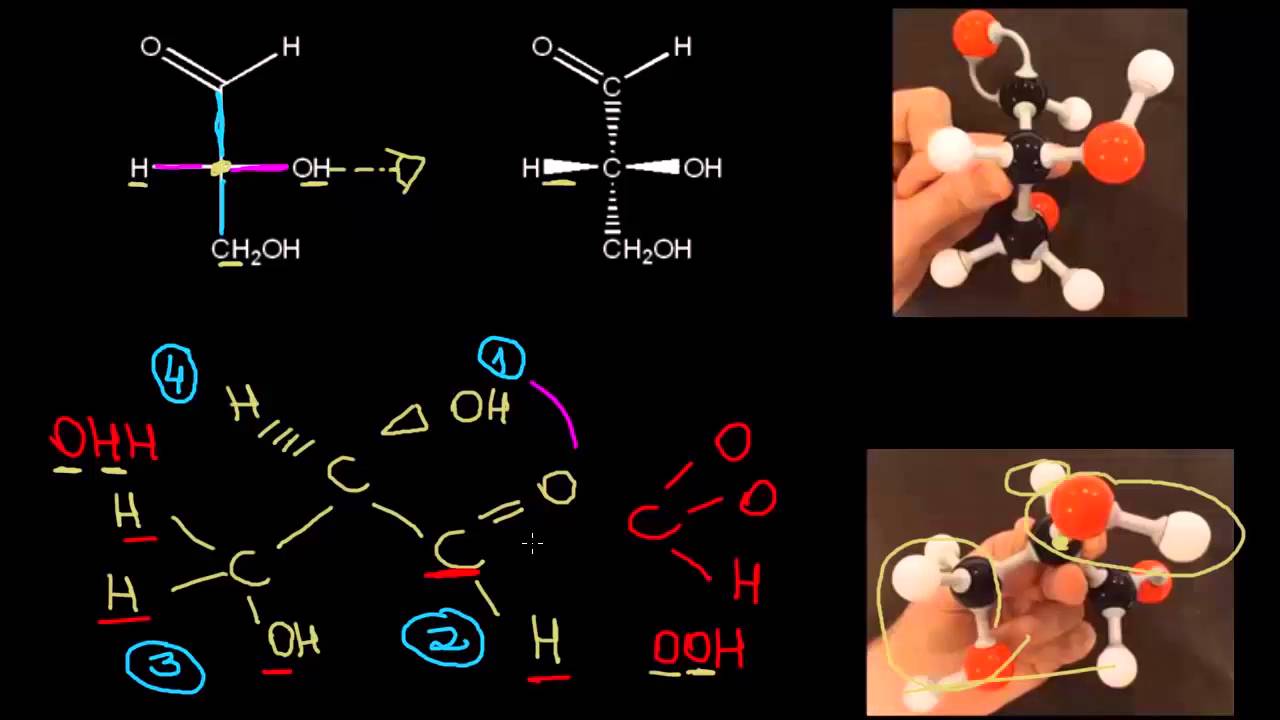 INTRODUÇÃO À PROJEÇÃO DE FISCHER