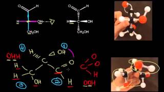INTRODUÇÃO À PROJEÇÃO DE FISCHER