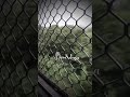 Kanthara Singara Siriye BlackScreen Lyrics Whatsapp Status Video Akhil Creation