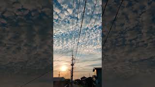 2025年6月30日