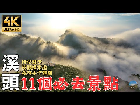 【城鄉島遊】2023南投溪頭深度旅遊｜從白天到夜晚給你滿滿森林療癒｜銀杏森林｜大崙山絕美夕陽雲海！｜跟著我們一起Chill with us