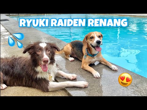 RYUKI RAIDEN SWIMMING AT ANABUL WATERPARK‼️😍💦