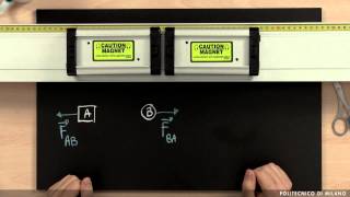 Terzo principio della dinamica (Dario Polli)