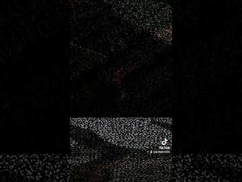 GRITTY BOI ( CORY GUNZ & DAVID BARS ) IDENTICAL