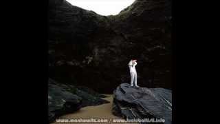 LUCIO BATTISTI - ECCO I NEGOZI -  ( versione acustica ) provino di Roberto Pambianchi