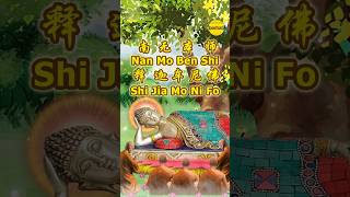 Download lagu NAN MO BEN SHI SHI JIA MO NI FO - 南无本师释迦牟尼佛 – BUDDHA SONG VIDEO mp3