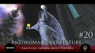 Another Skyrim Mod Feature #20