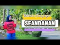 SEANDANAN CIPT ARIFIN M VOC WINDA SANJAYA ARR TAM SANJAYA LAGU LAMPUNG TERPOPULER