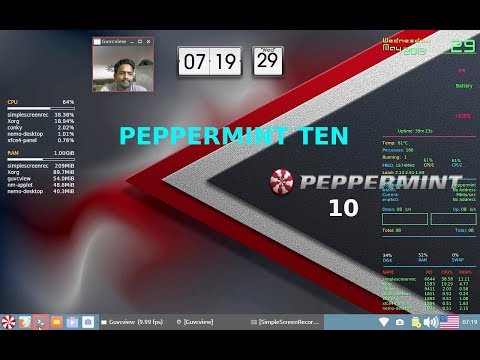Peppermint 10 overview