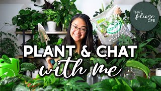 PROPAGATION UPDATE and planting them into soil (REUPLOAD)