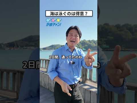 #尾道　#かめだ年保 #かめチャン  #尾道観光大使