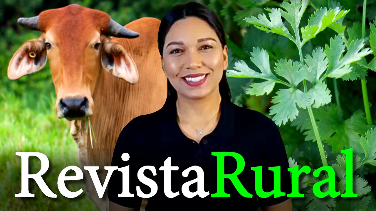 PROGRAMA REVISTA RURAL - 30/09/2026