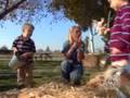 Barnyard Party Haystack Hunt Fine Living