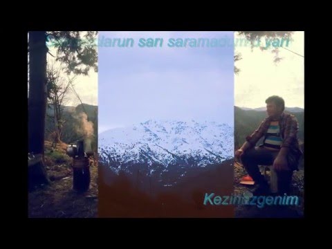 Sarı saçlarun sarı saramadum o yari