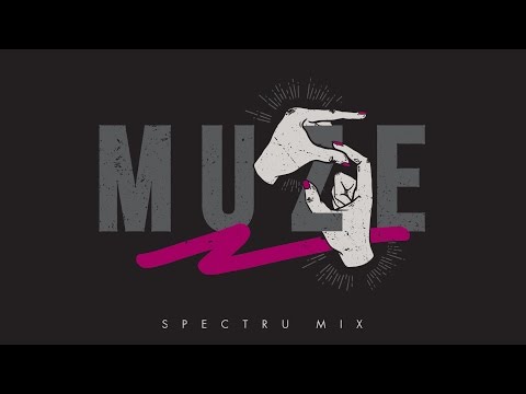 MUZE - Muze (prod. Spectru)
