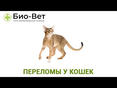 Лечение остеохондроза по бубновскому Лечение сухожилий локтевого сустава народными средствами