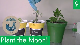 Plant the Moon with Team Rainbird! EP 9