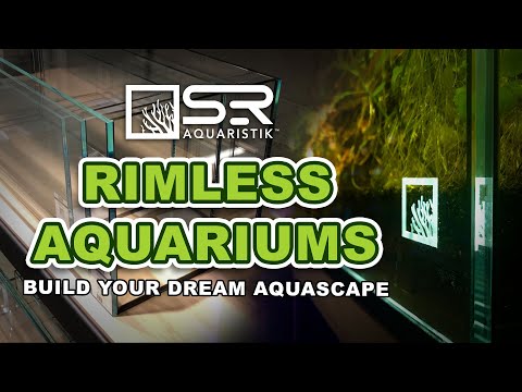 Stunning Aquatic Displays with Low Iron Rimless Aquariums | SR Aquaristik