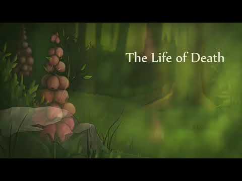 The Life of Death - A Short Film by Marsha Onderstijn