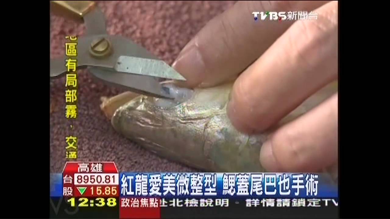 修眼袋、縮下巴 紅龍整型價格倍增