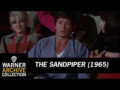 The Truth About Angels | The Sandpiper | Warner Archive
