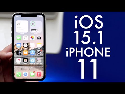 iOS 15.1 On iPhone 11! (Review)