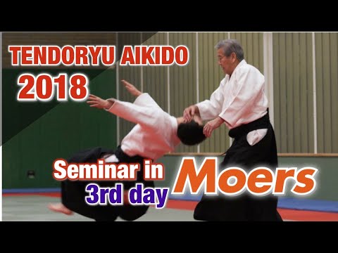 【海外指導】Moers seminar ③ Tendoryu Aikido 2018