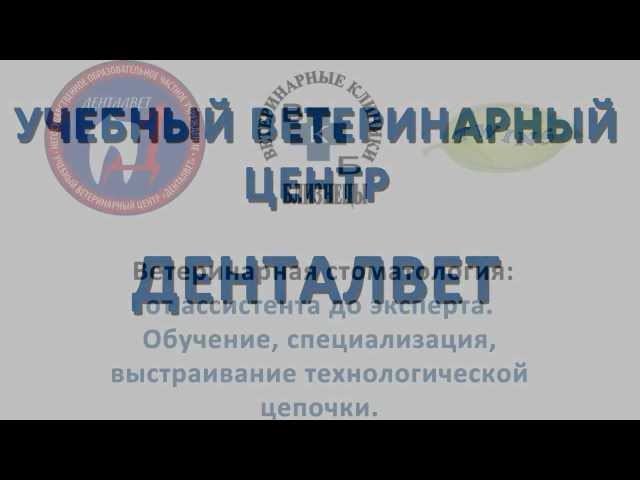 Сеть Ветеринарных клиник 