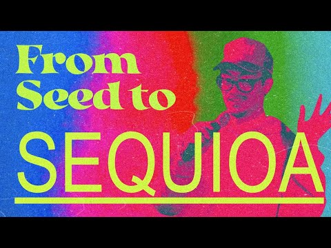 Pastor Kyle — Seed to Sequioa | January 9, 2022