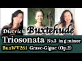 D.Buxtehude: Triosonata No.3 in g minor BuxWV261 Grave-Gigue (Op.2)