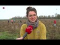 Treevember: bomen planten voor een betere toekomst