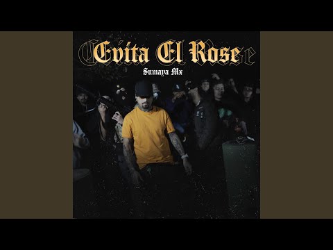 Evita el Rose