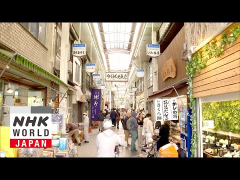 Shotengai: Bustling Shopping Streets Reflect Their Neighborhood - Core Kyoto
