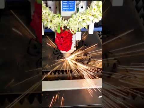 Metal Laser Cutting Service
