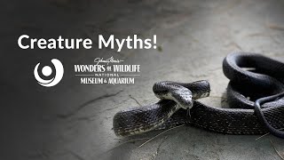 Varsity Tutors' StarCourse - Creature Myths! with Wonders of Wildlife