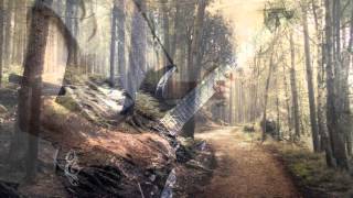 高中正義　SHADY LADY コピー