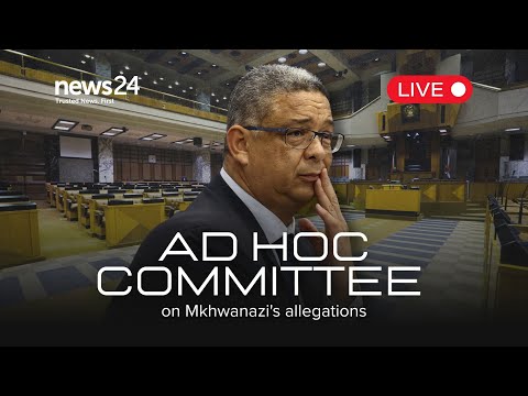 WATCH LIVE | Robert McBride continues his evidence before the Ad Hoc committee