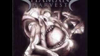 Shaman's Harvest - Turn It Up