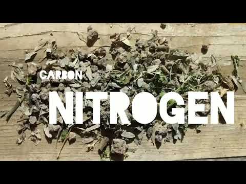 Thermophilic Composting 1 - Introduction