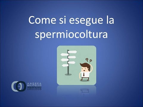 Massaggio prostatico è utile dannoso Farmaci trattamento prostatite cronica