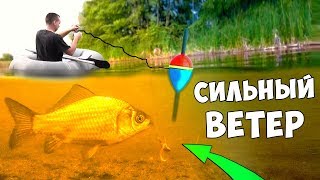 Какой ветер для хорошей рыбалки