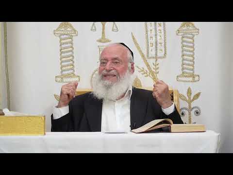 פרשת בראשית: מצוות פריה ורביה | שיעור שבועי מאת מרן הרב אשר וייס שליט"א | תשפ"ז